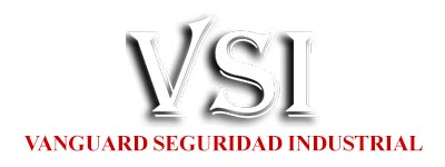 Vanguard Seguridad Industrial